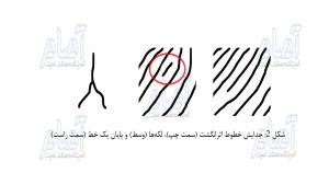 شکل دو خطوط انگشت_1