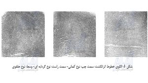 شکل یک خطوط انگشت